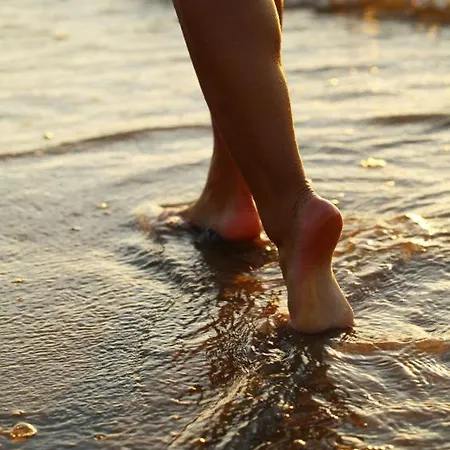 Silvaapartments Barra