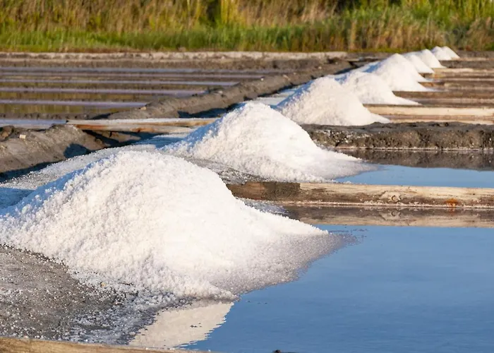 Appartement Silvaapartments