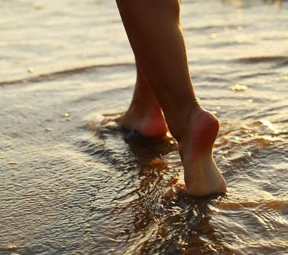 Silvaapartments Barra