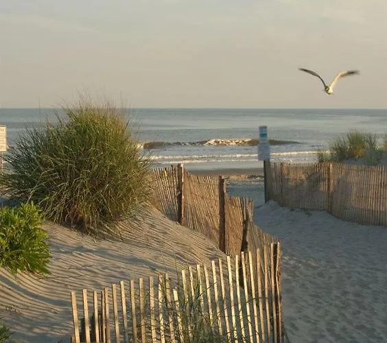 Silvaapartments Appartement